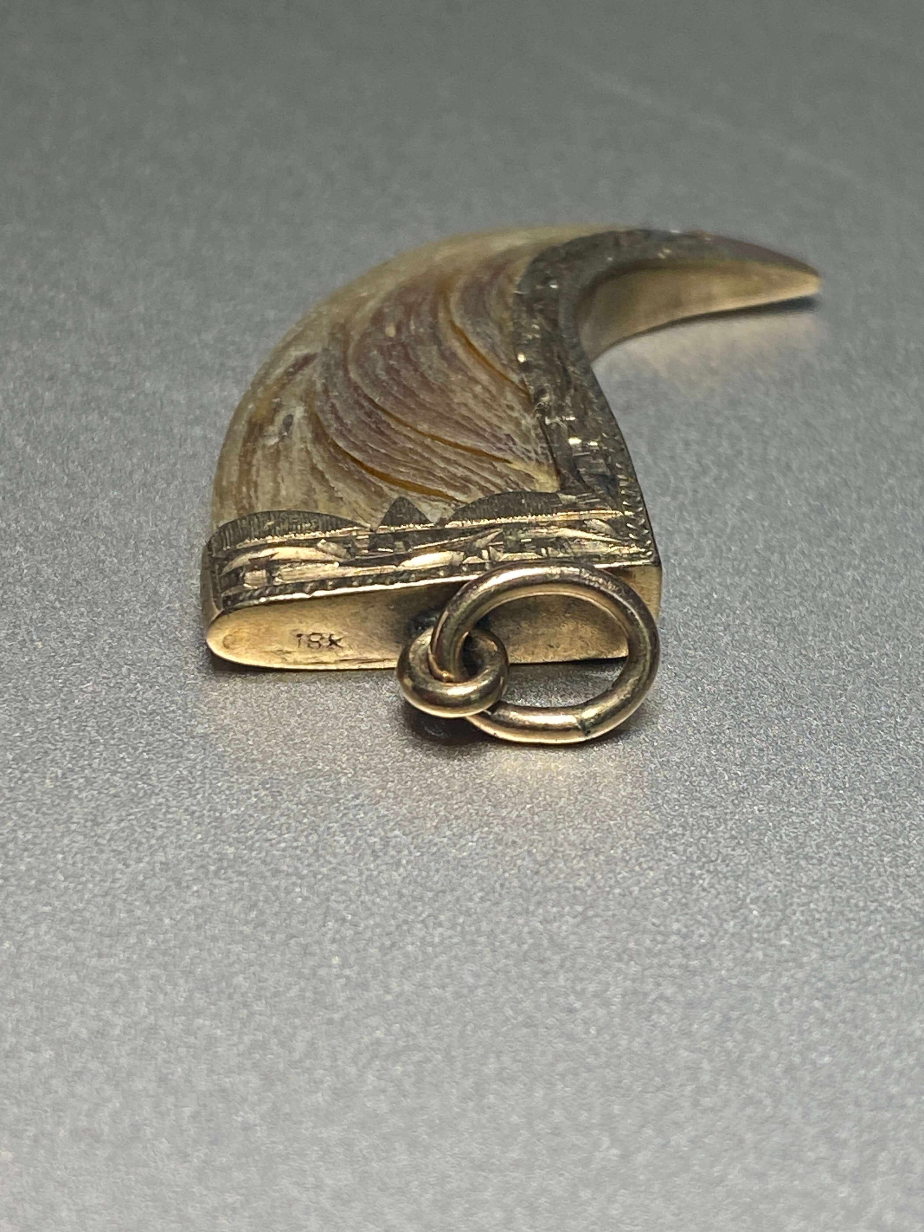 Antique Victorian British Raj Tiger Claw Pendant, probably Anglo-Indian, c.1870–1900. 18ct yellow gold. Length: 3cm