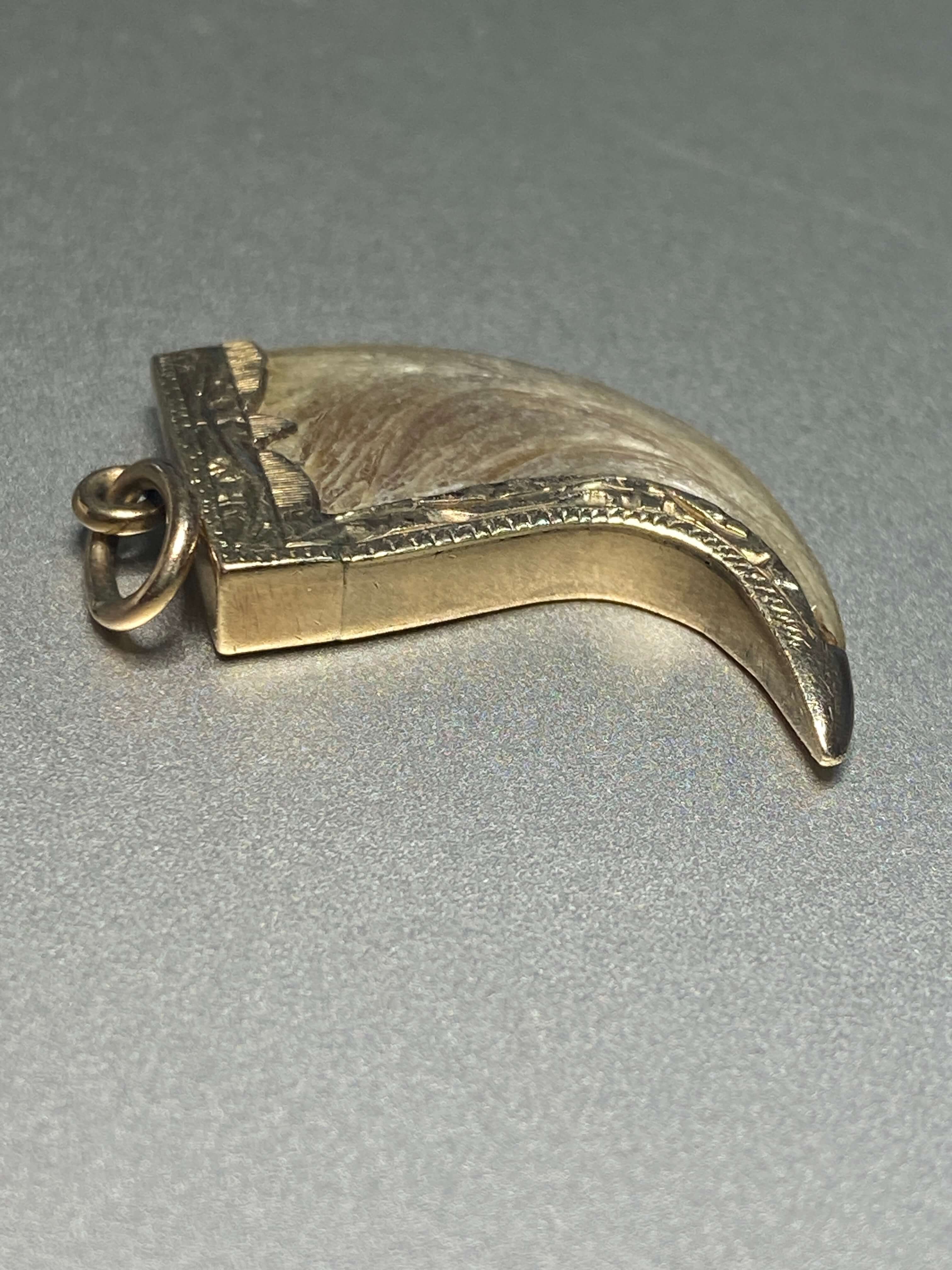 Antique Victorian British Raj Tiger Claw Pendant, probably Anglo-Indian, c.1870–1900. 18ct yellow gold. Length: 3cm