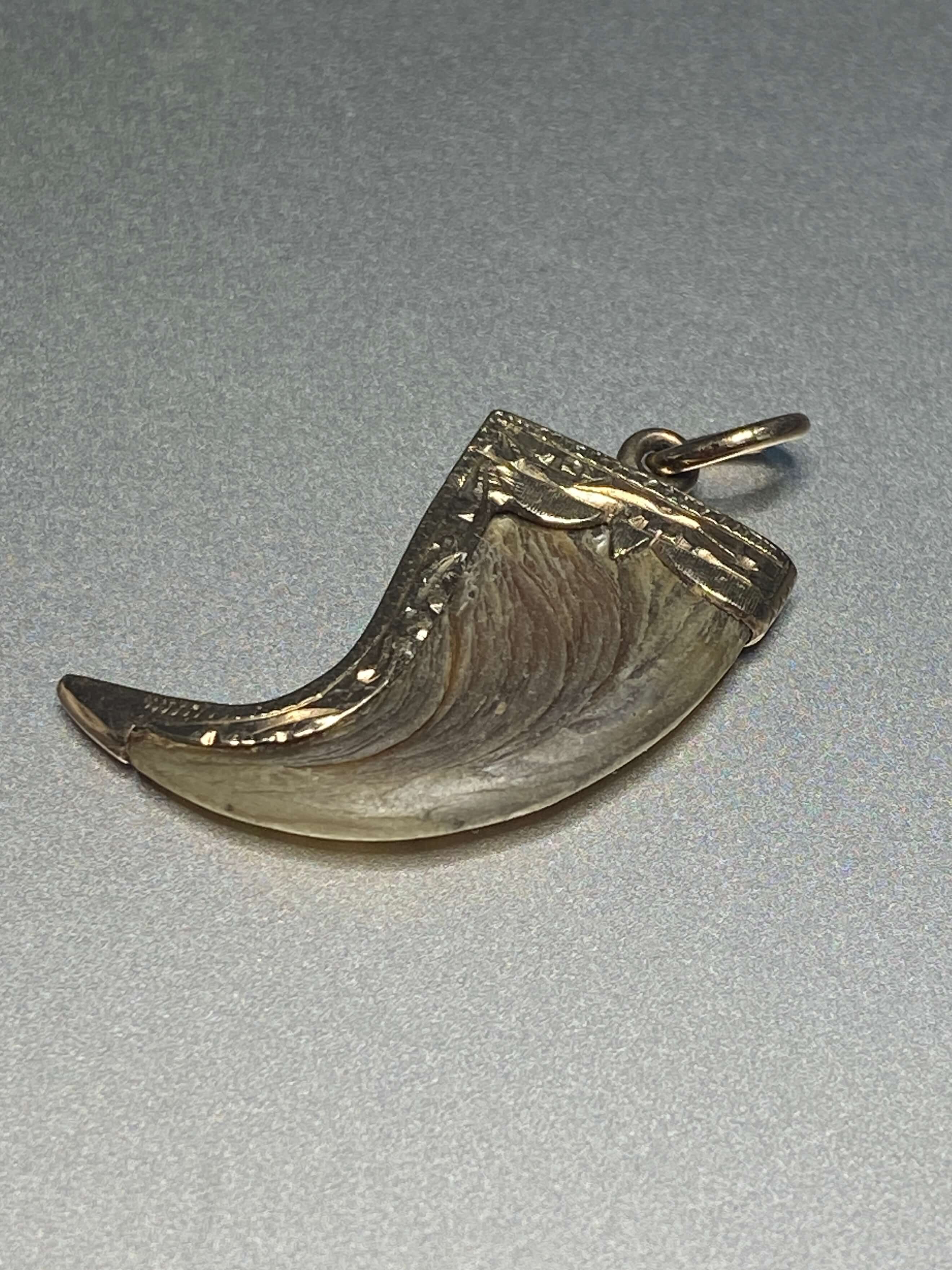 Antique Victorian British Raj Tiger Claw Pendant, probably Anglo-Indian, c.1870–1900. 18ct yellow gold. Length: 3cm