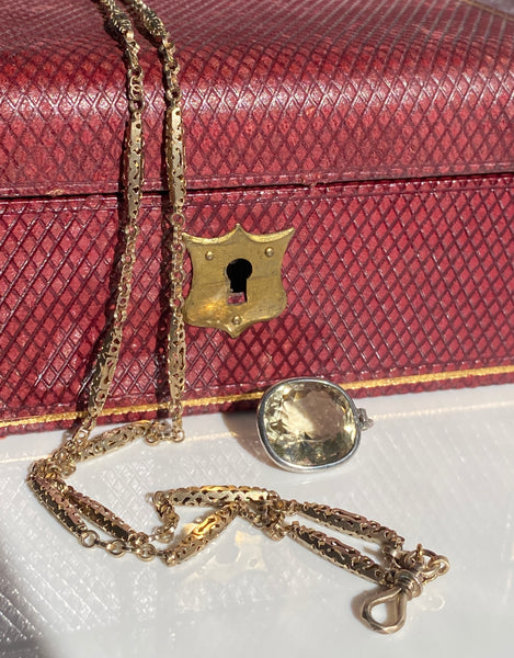 Antique Georgian Guard Chain, c1820-30