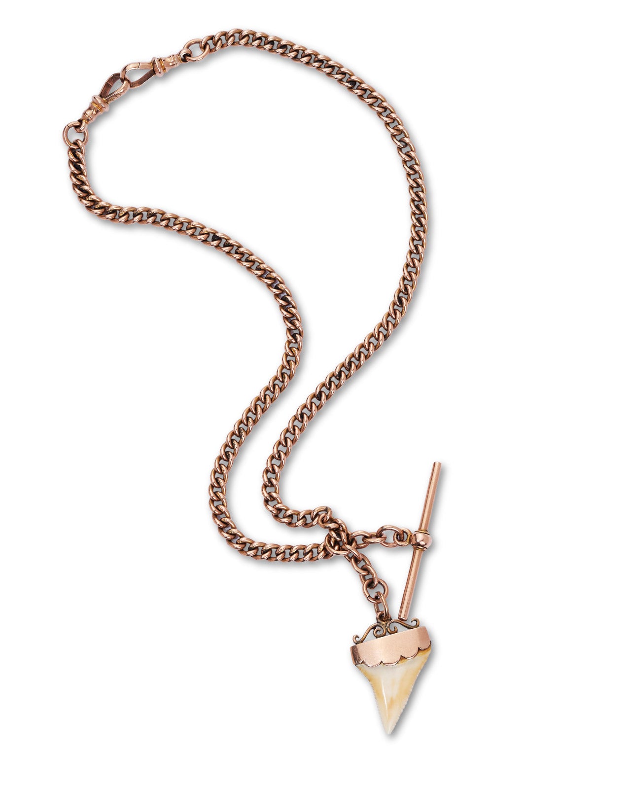A rose gold chain necklace featuring a shark tooth pendant and a small rose gold bar, displayed on a clean white background.